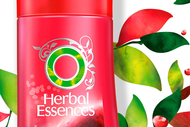 Proyecta Livebrand Herbal Essences